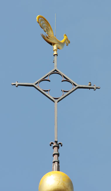 Zwarteroodstaart110408